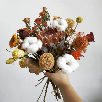 blog-10012019-dried-flower-trend-protea