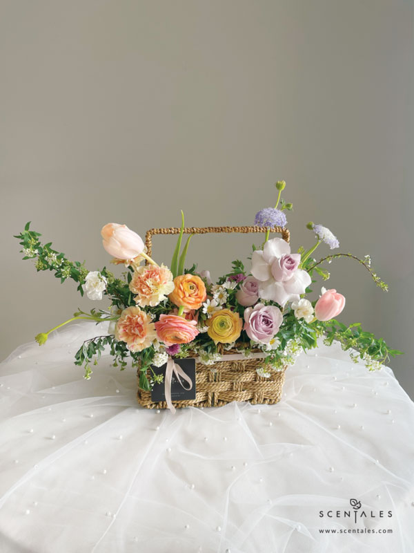 Morning Glow Fresh Flower Basket fresh flower with Apricot tulip , light orange ranunculus, champagne carnation , light orange spray rose, lilac rose, white hana, blue trachymene, light purple calimero, plenty of spiraea and snowflake
