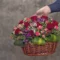 Grand Opening Flowers in JB: Celebrate New Beginnings with Meaningful Blooms